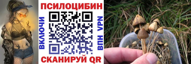 Галлюциногенные грибы Psilocybe  Купить закладки  Жиздра 